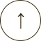 ↑